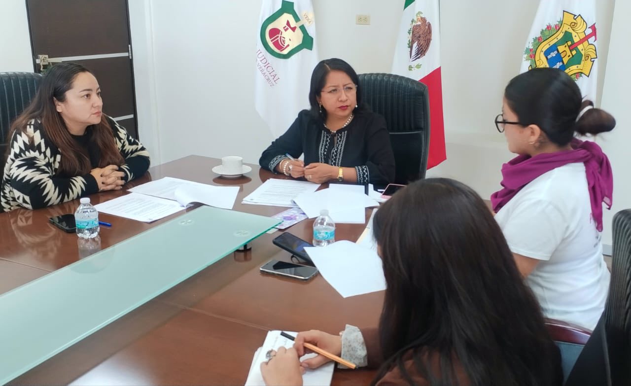 Mujeres exigen justicia en CECOFAM por violencia vicaria en Veracruz.