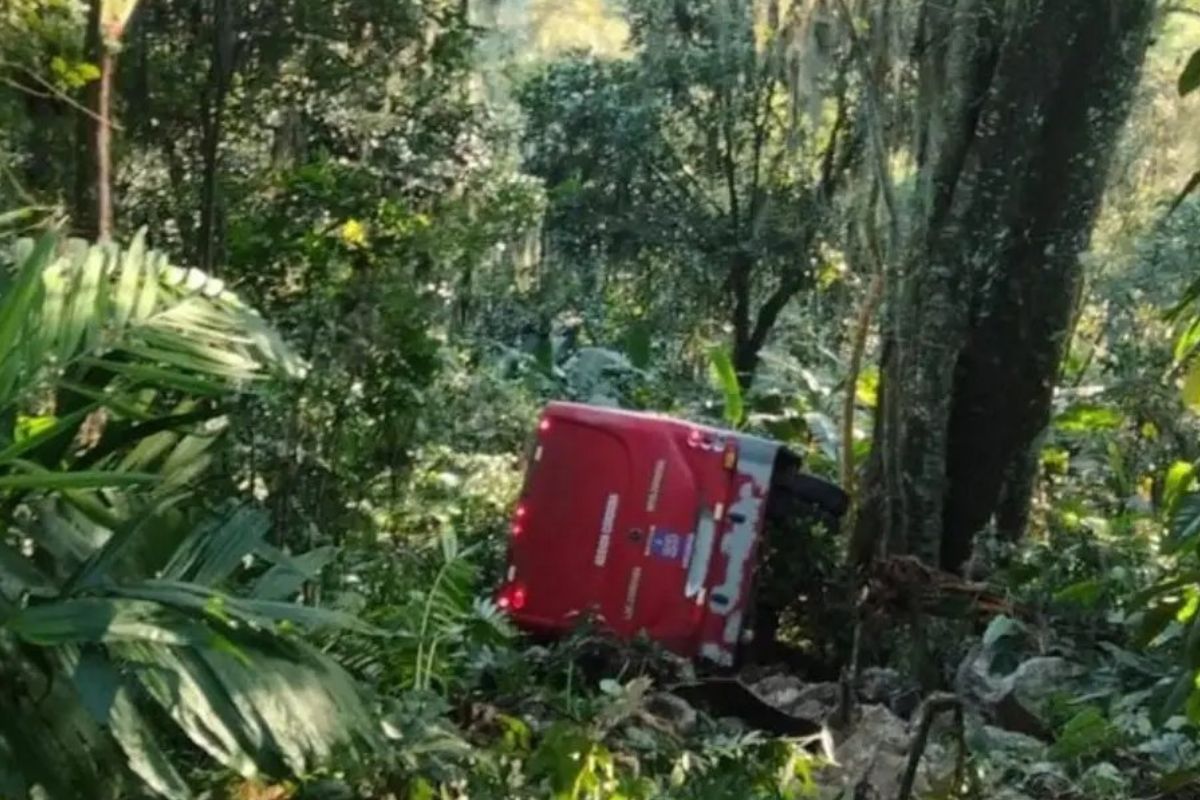 Autobús volcado tras caer a un barranco en Naranjal, Veracruz