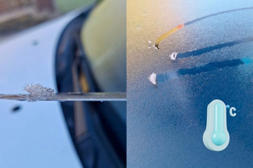 Campo escarchado por heladas en zona serrana de Veracruz, enero 2026