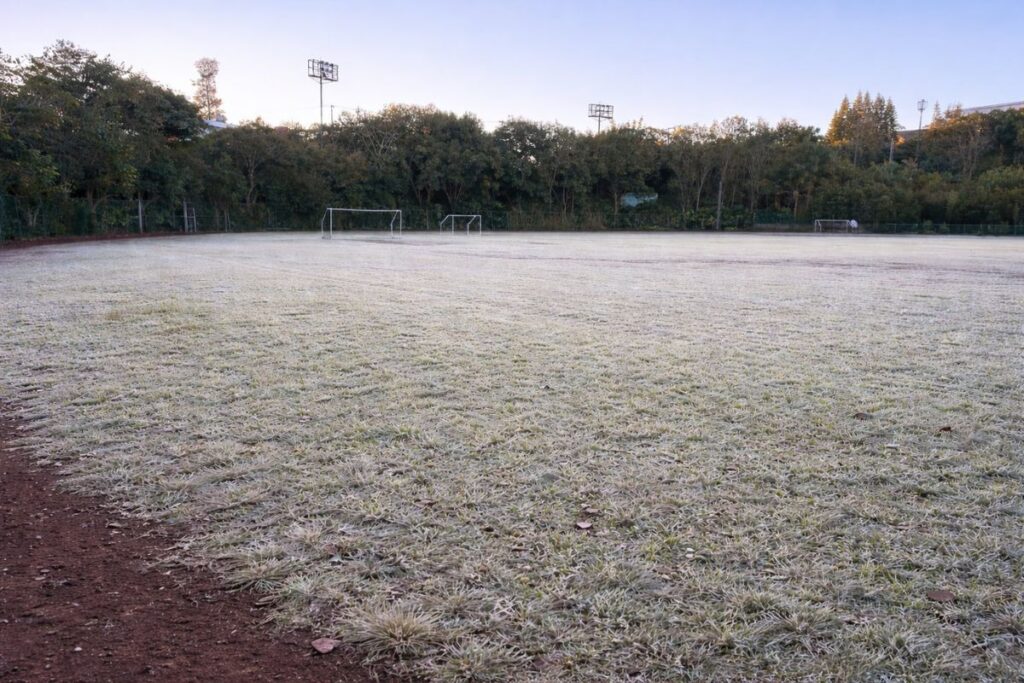 Heladas y temperaturas bajo cero en municipios de Veracruz