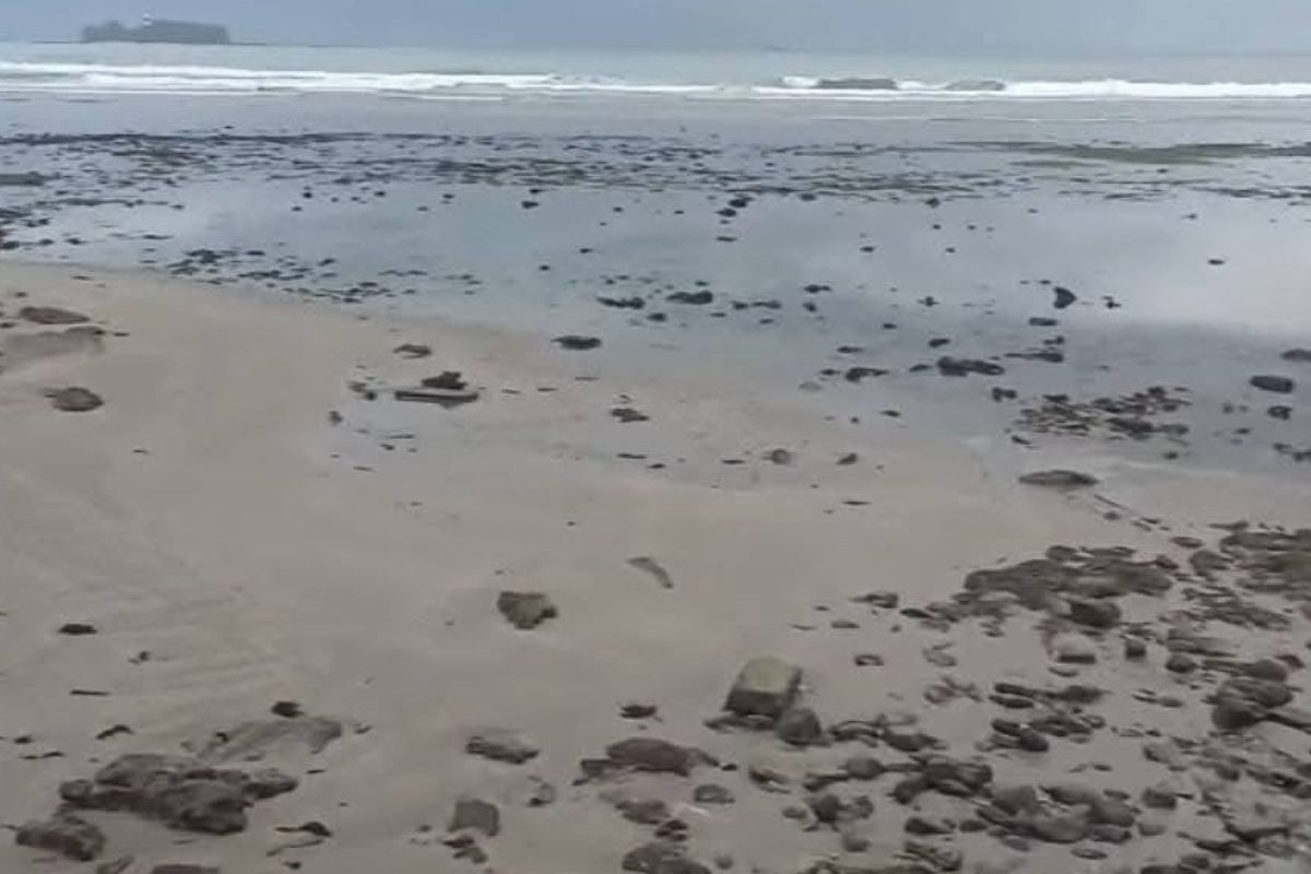 Fenómeno natural: el mar avanzó varios metros en playas de Veracruz, sin riesgo de tsunami, explica Isidro Cano Luna