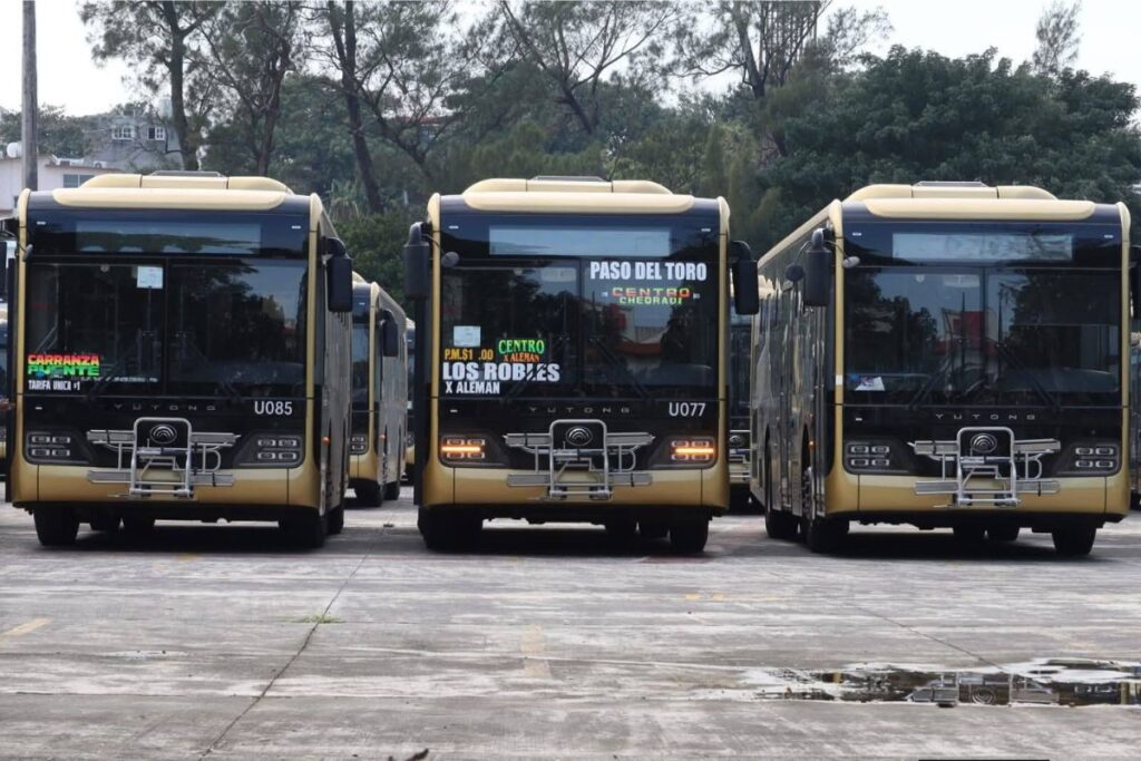 Fernando Yunes Márquez opina sobre operación estatal del transporte Ulúa en Veracruz.