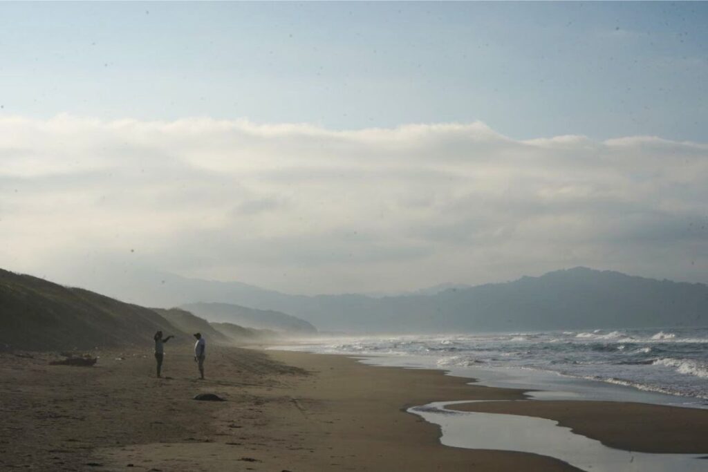 Mancha de hidrocarburo en playas de Veracruz tras derrame de barco privado frente a Tabasco.