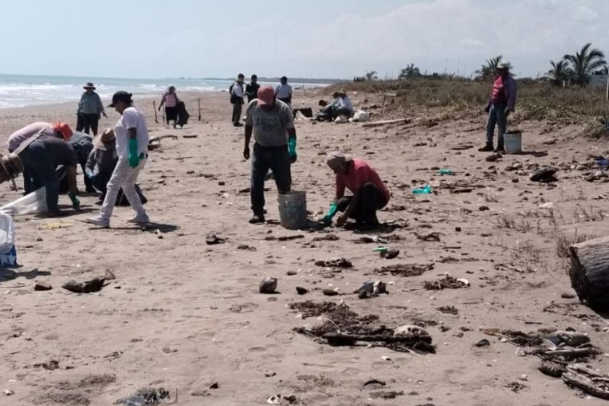 Pobladores limpian chapopote en playas de Tuxpan, Veracruz.