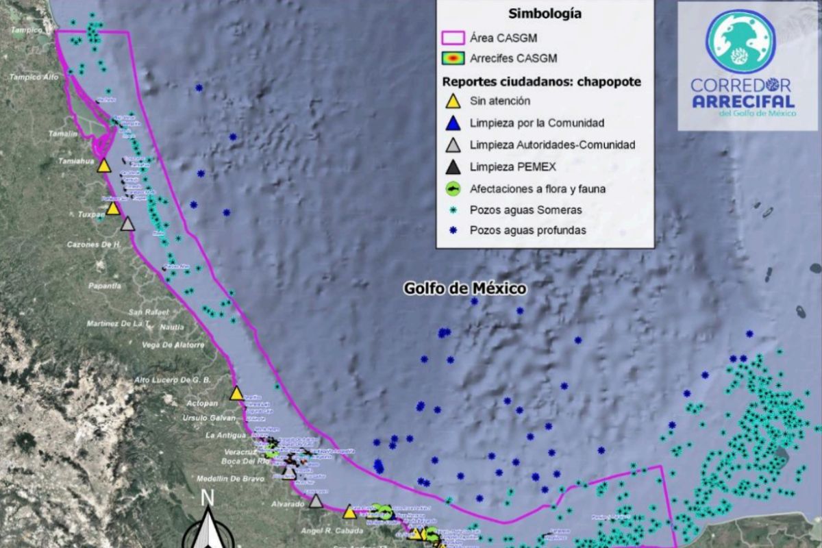 Chapopote en playas de Veracruz con recale en múltiples puntos de la costa.