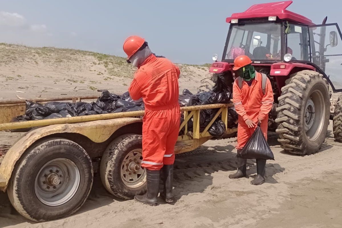 Trabajos de limpieza por hidrocarburo en playas del sur de Veracruz, con recolección de residuos contaminados.