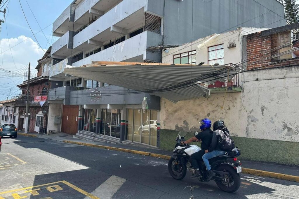 Árbol caído en Xalapa por fuertes rachas de viento asociadas al frente frío 41.