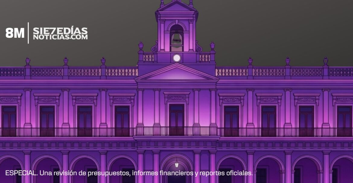 Especial 8M: presupuesto público para atender la violencia contra las mujeres en Veracruz.