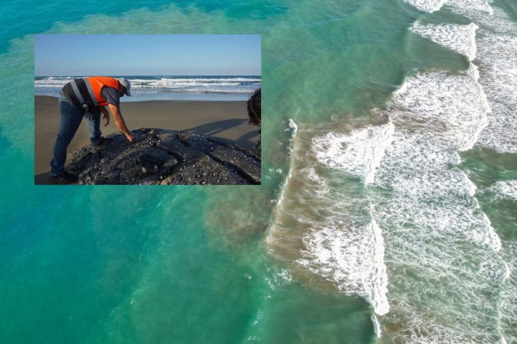 Chapopote y manchas de hidrocarburo en playas de Catemaco afectan actividad pesquera.
