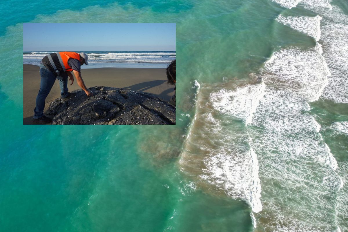 Chapopote y manchas de hidrocarburo en playas de Catemaco afectan actividad pesquera.