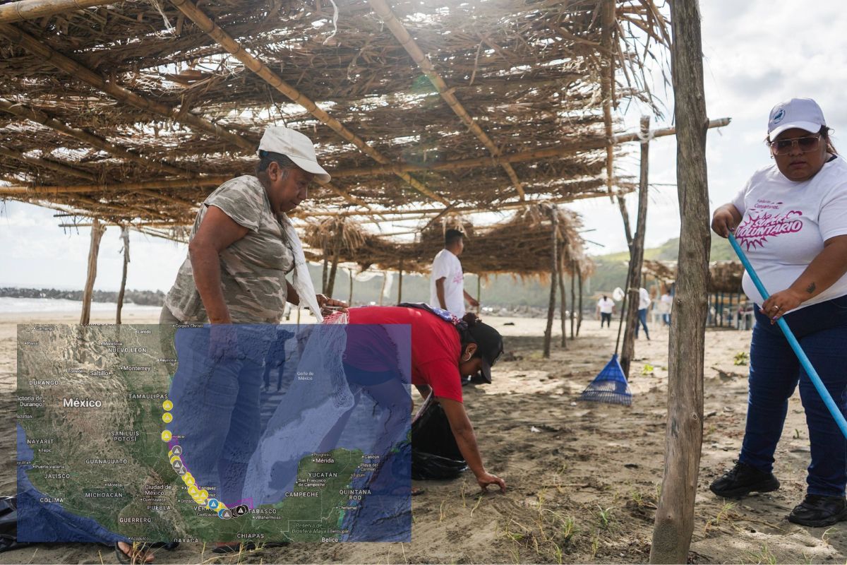 Comunidades limpian hidrocarburo en playas del Golfo de México sin apoyo suficiente
