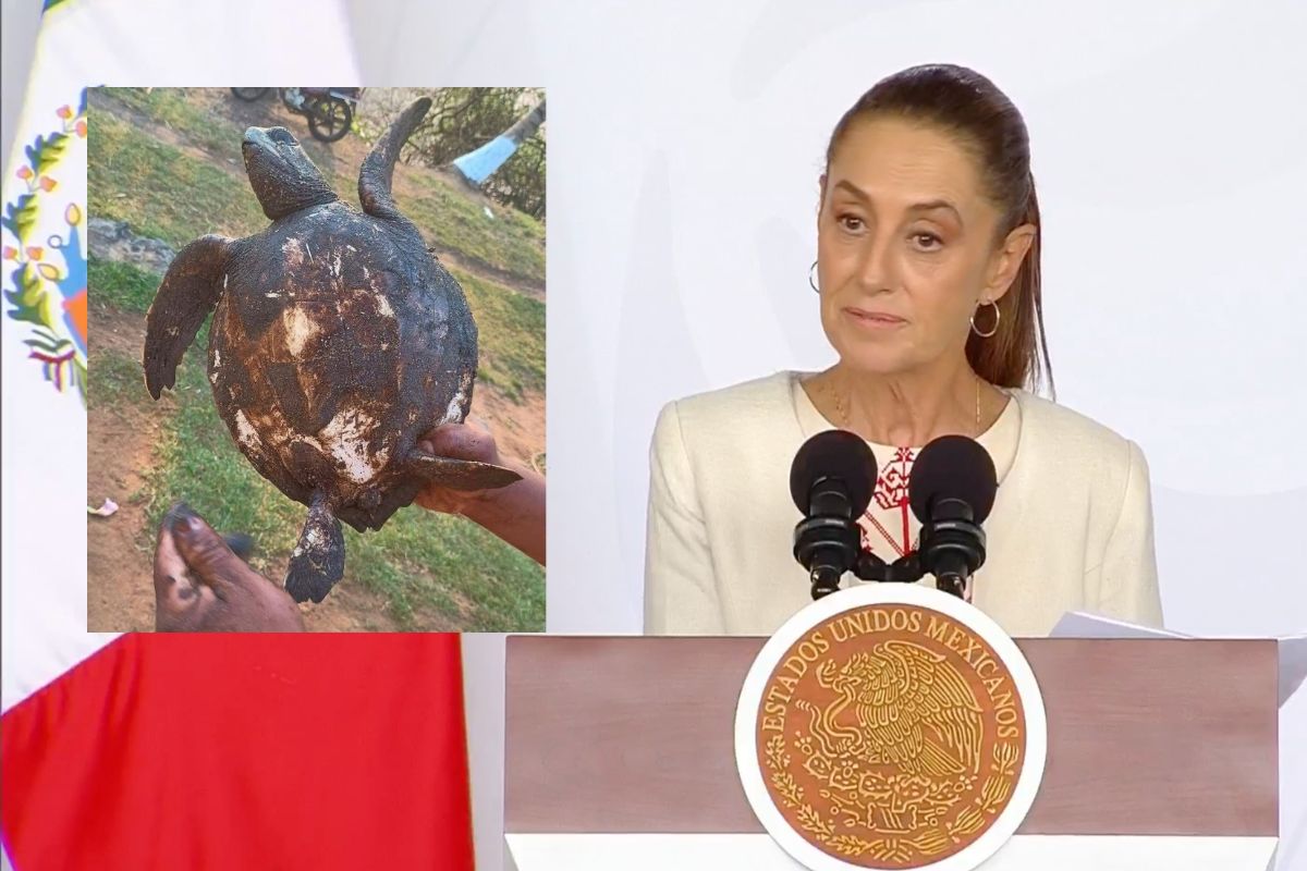 Derrame de hidrocarburo en el Golfo de México afecta costas de Veracruz y Tabasco con labores de limpieza en marcha.