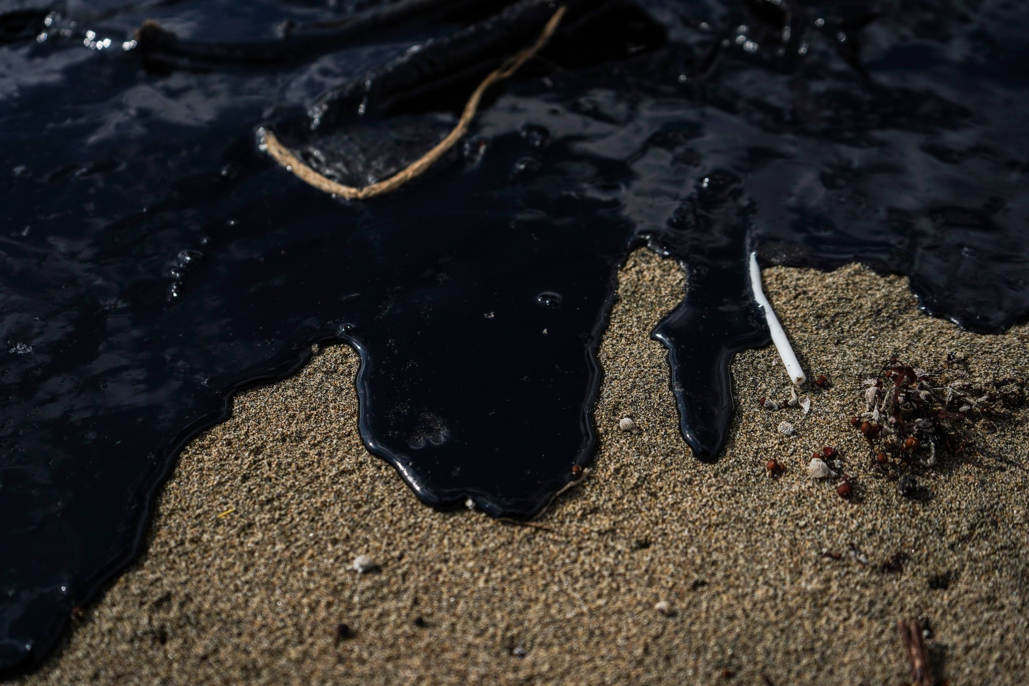chapopote en playa de Sontecomapan Veracruz.