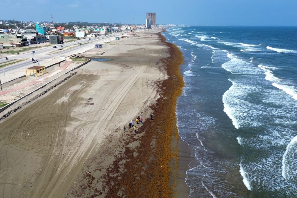 Percepción de inseguridad en Coatzacoalcos alcanza 75 por ciento según ENSU 2026