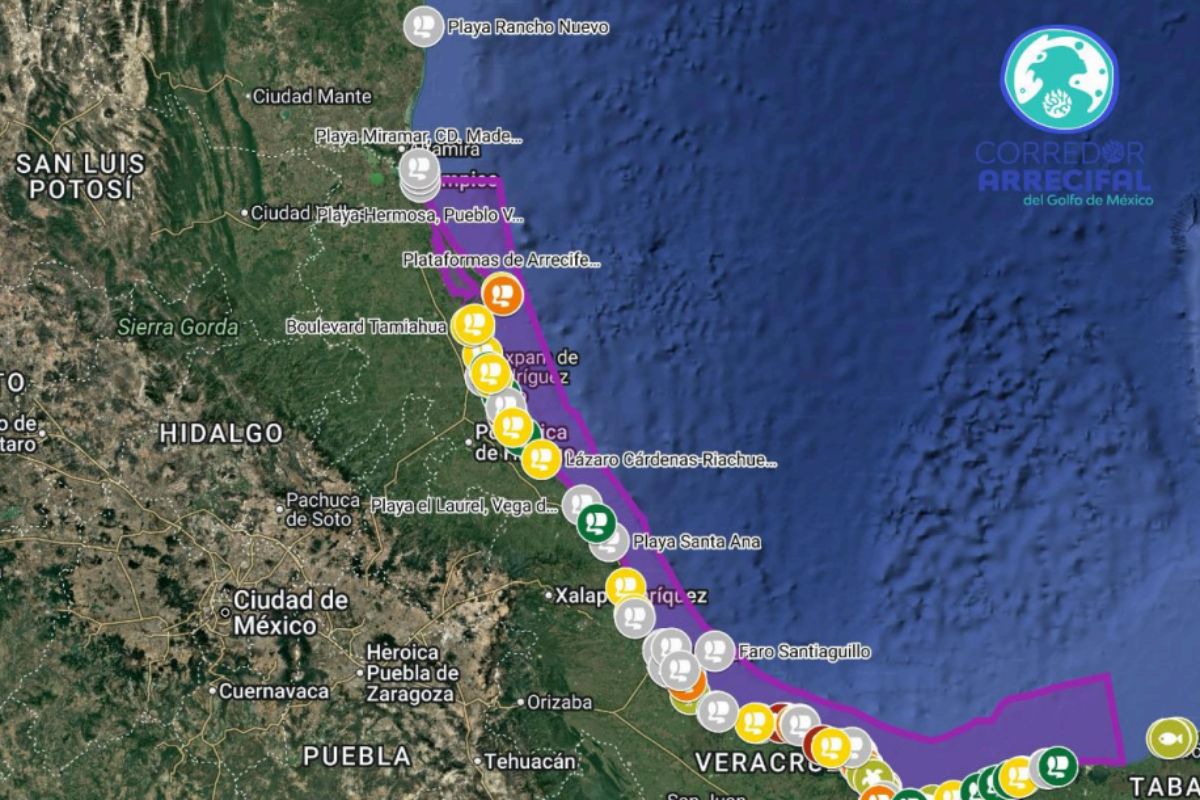 playas Veracruz contaminadas chapopote limpieza desigual comunidades