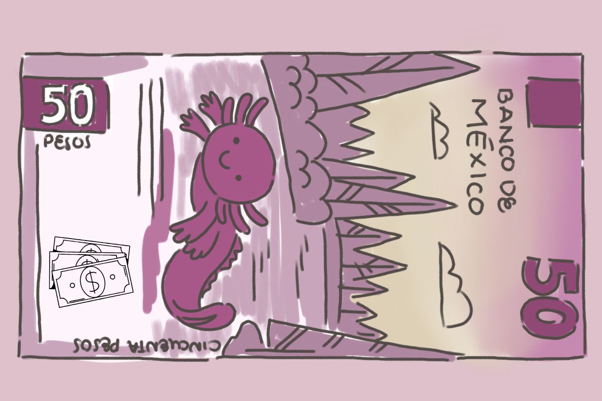 Ahorrar dinero; las monedas en casa