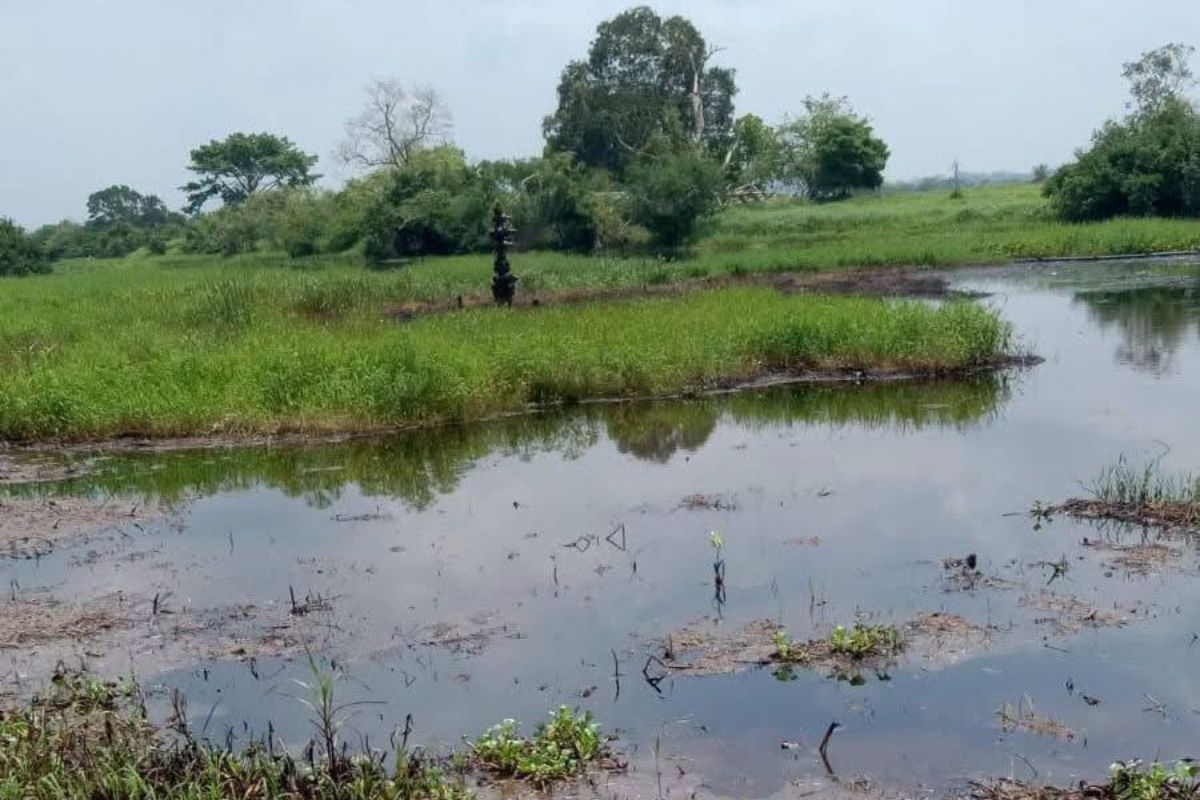 Instalaciones de pozo petrolero de Pemex en Minatitlán con antecedentes de fugas y derrame reciente