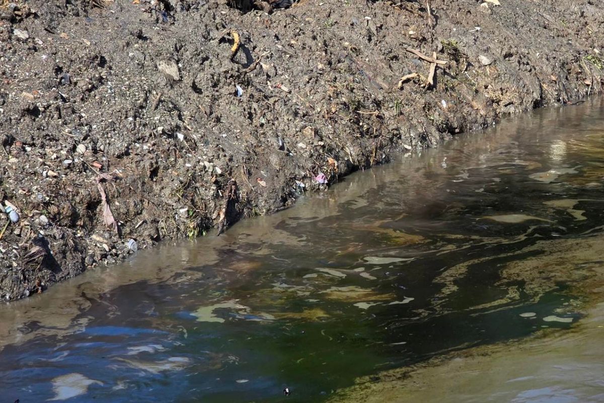 Aceite en arroyo de Poza Rica tras lluvias según reporte de Pemex