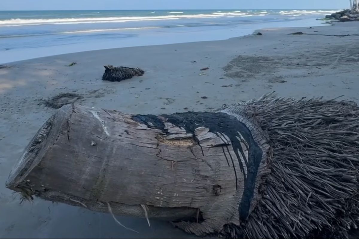 pescadores afectados por derrame de hidrocarburo en Alvarado Veracruz