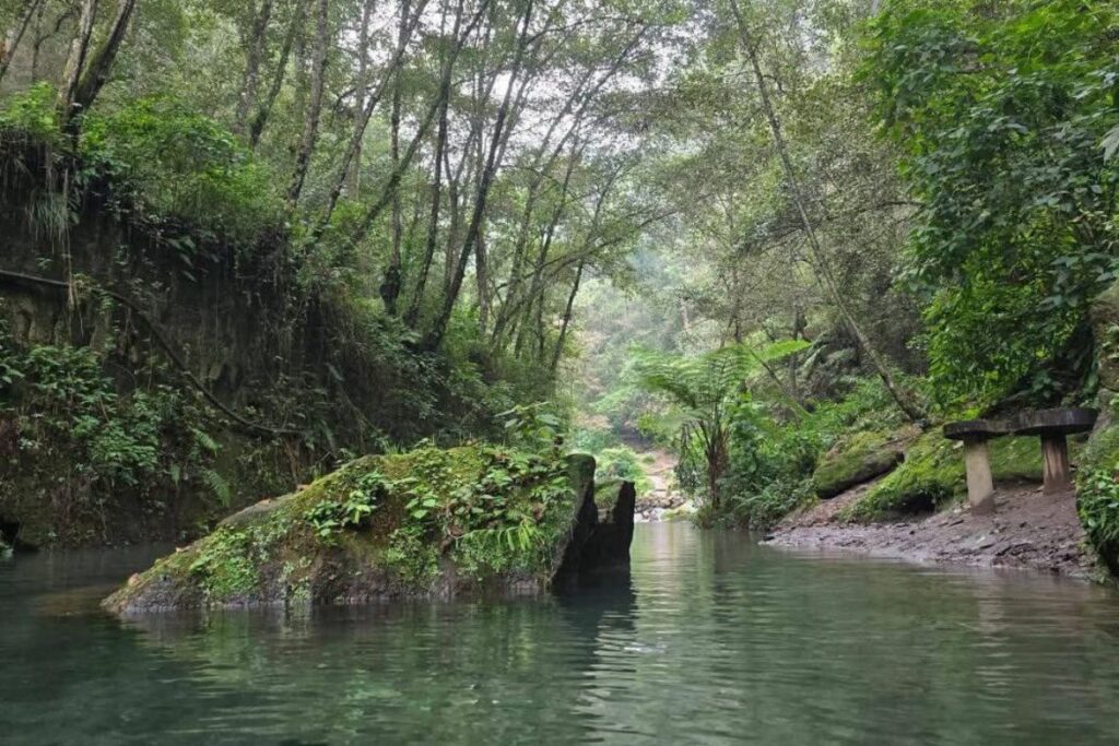 Reserva ecológica Pancho Poza cerrada tras suspensión por amparo en Altotonga Veracruz