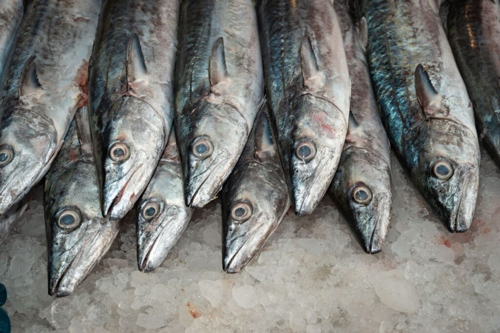 Pescado en mercado mexicano con riesgo de sustitución de especies según estudio de Oceana