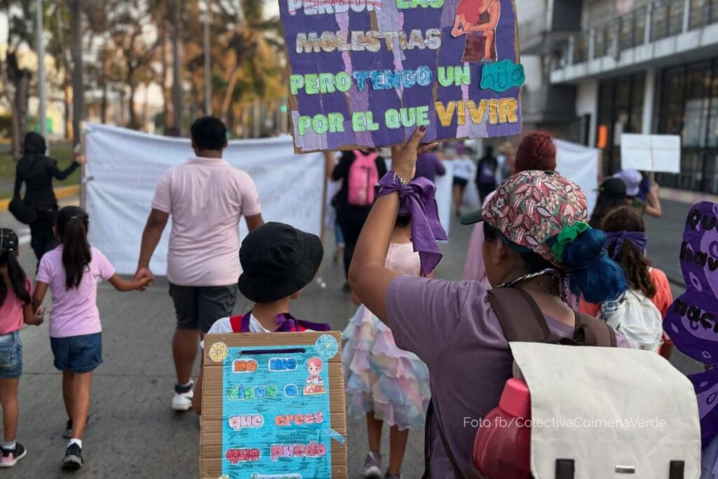 Integrantes de Colmena Verde denuncian amenazas y hostigamiento por acompañar casos de violencia vicaria en Veracruz.