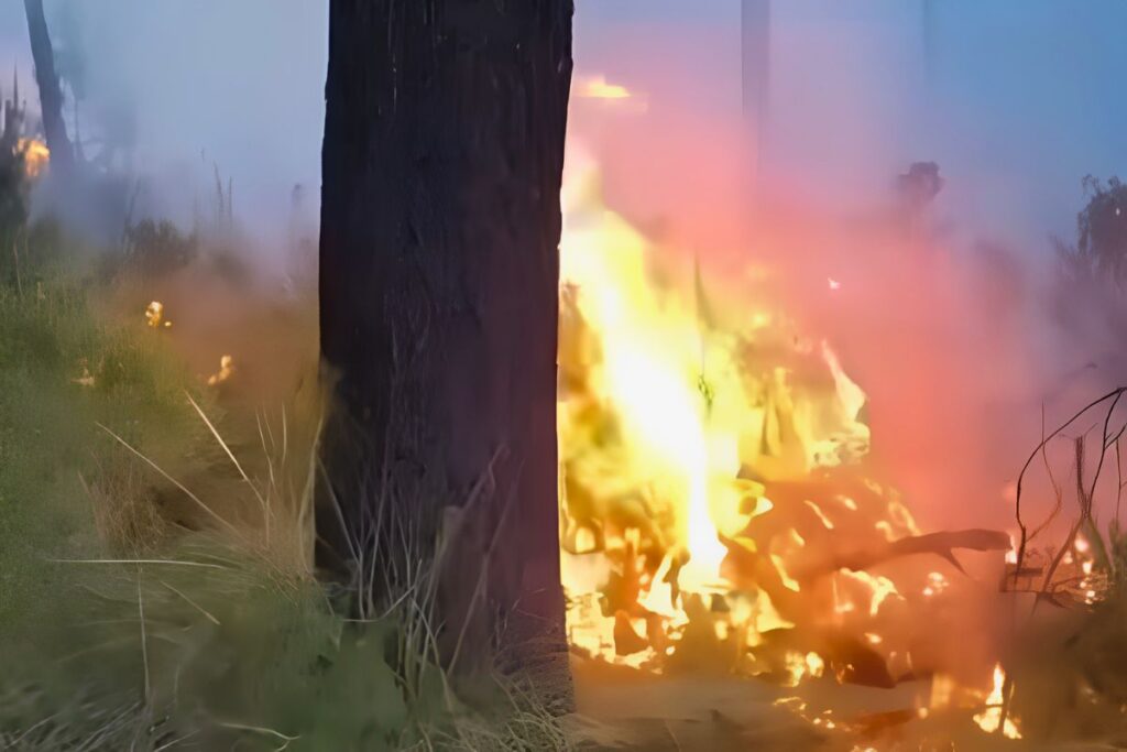 Brigadistas y personal de emergencia combaten un incendio forestal en la reserva natural San Juan del Monte, en Las Vigas de Ramírez, Veracruz.