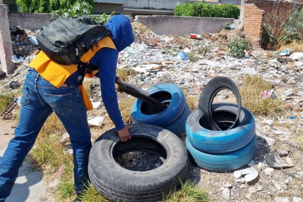 Personal de salud realiza acciones de prevención contra el dengue en Veracruz, entidad que reportó una muerte por la enfermedad en 2026.