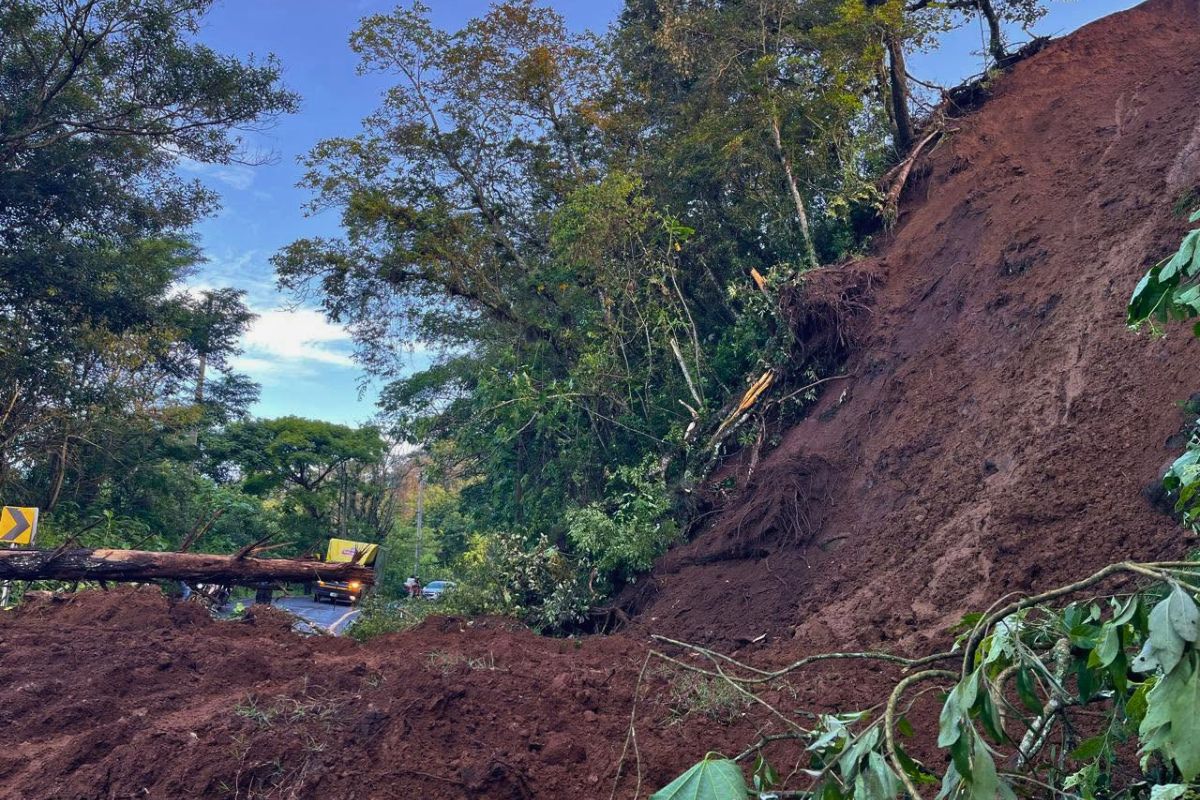 Personal operativo realiza trabajos para retirar un deslave en el kilómetro 19 de la carretera Xalapa–Naolinco