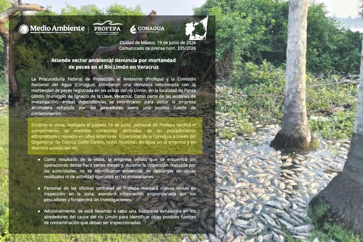 Inspección de Profepa y Conagua en la alcoholera de Nopaltepec investigada por la mortandad de peces