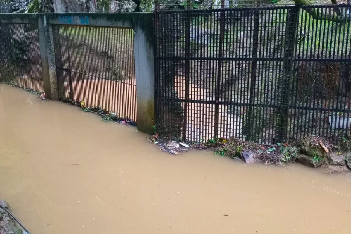 Deslave registrado en la carretera hacia Zongolica, a la altura de San Andrés Tenejapan, tras las lluvias en Veracruz.