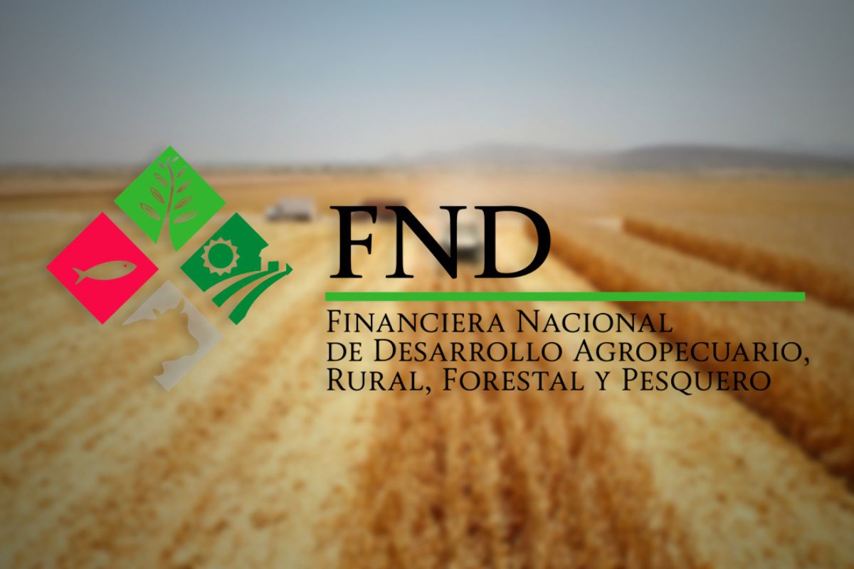 Productores del campo analizan opciones de pago tras la liquidación de la Financiera Rural y el programa de quitas del INDEP