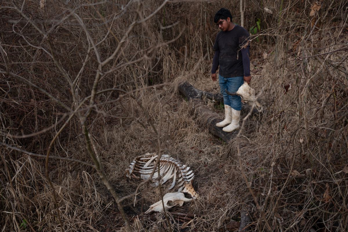 Habitantes bloquean el acceso al pozo Krem-1, en el ejido José Guadalupe, Las Choapas, para exigir respuesta de Pemex por las afectaciones denunciadas.
