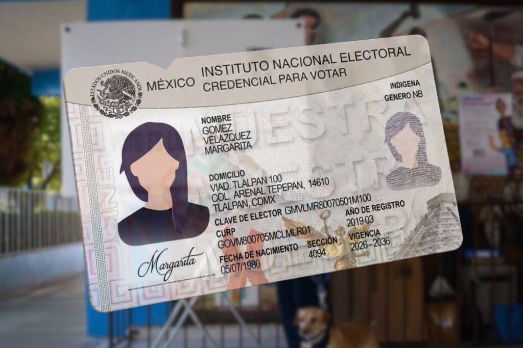 Nueva credencial para votar del INE con elementos de seguridad, accesibilidad e inclusión, distribuida en Veracruz.