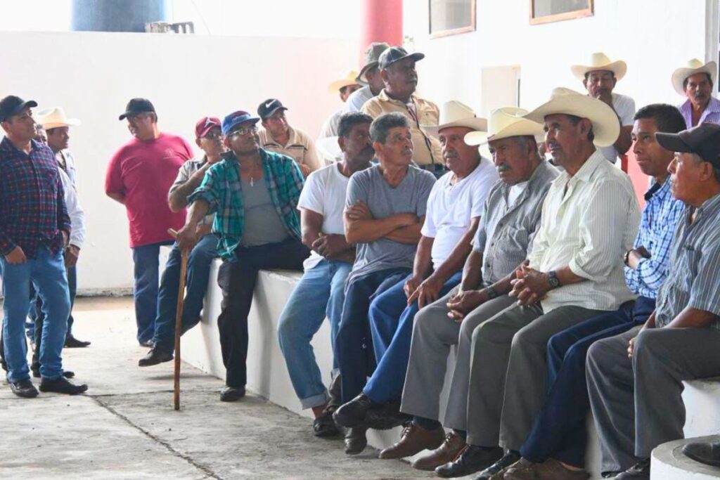 Productores del campo en Veracruz enfrentan el abandono del sector agrícola, la caída en la producción de maíz y la falta de apoyos gubernamentales.