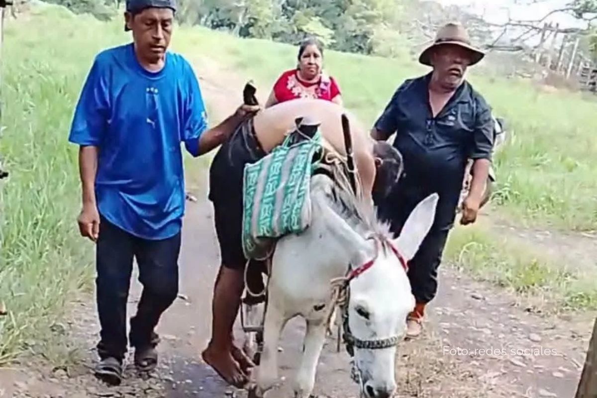El campesino fue llevado en burro por falta de ambulancia en Tatahuicapan, Veracruz.