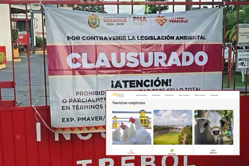 Sello de clausura de la PMA en la incubadora "El Trébol" de Pollos San Antonio, en Córdoba, Veracruz.