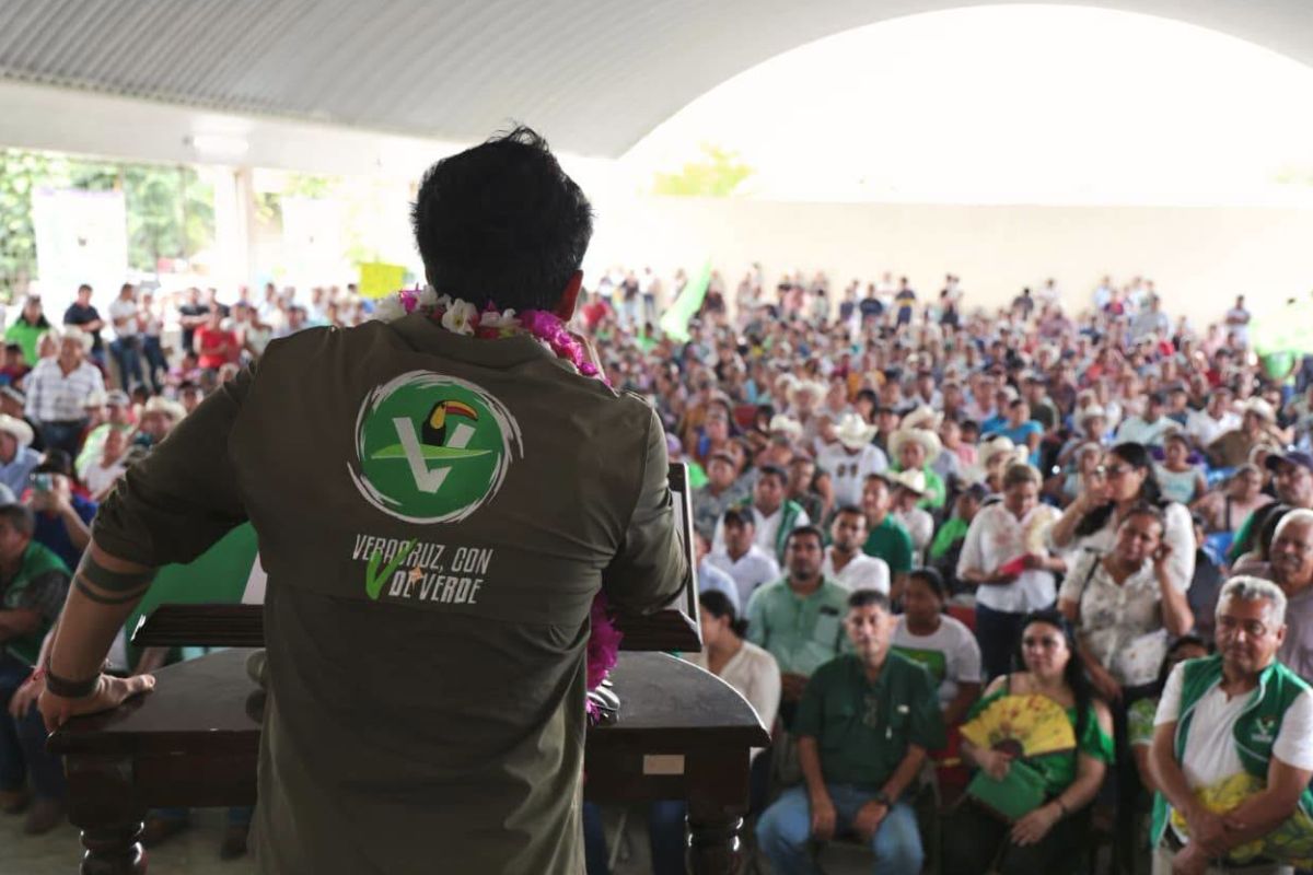 Logotipo del Partido Verde Ecologista de México (PVEM) en Veracruz